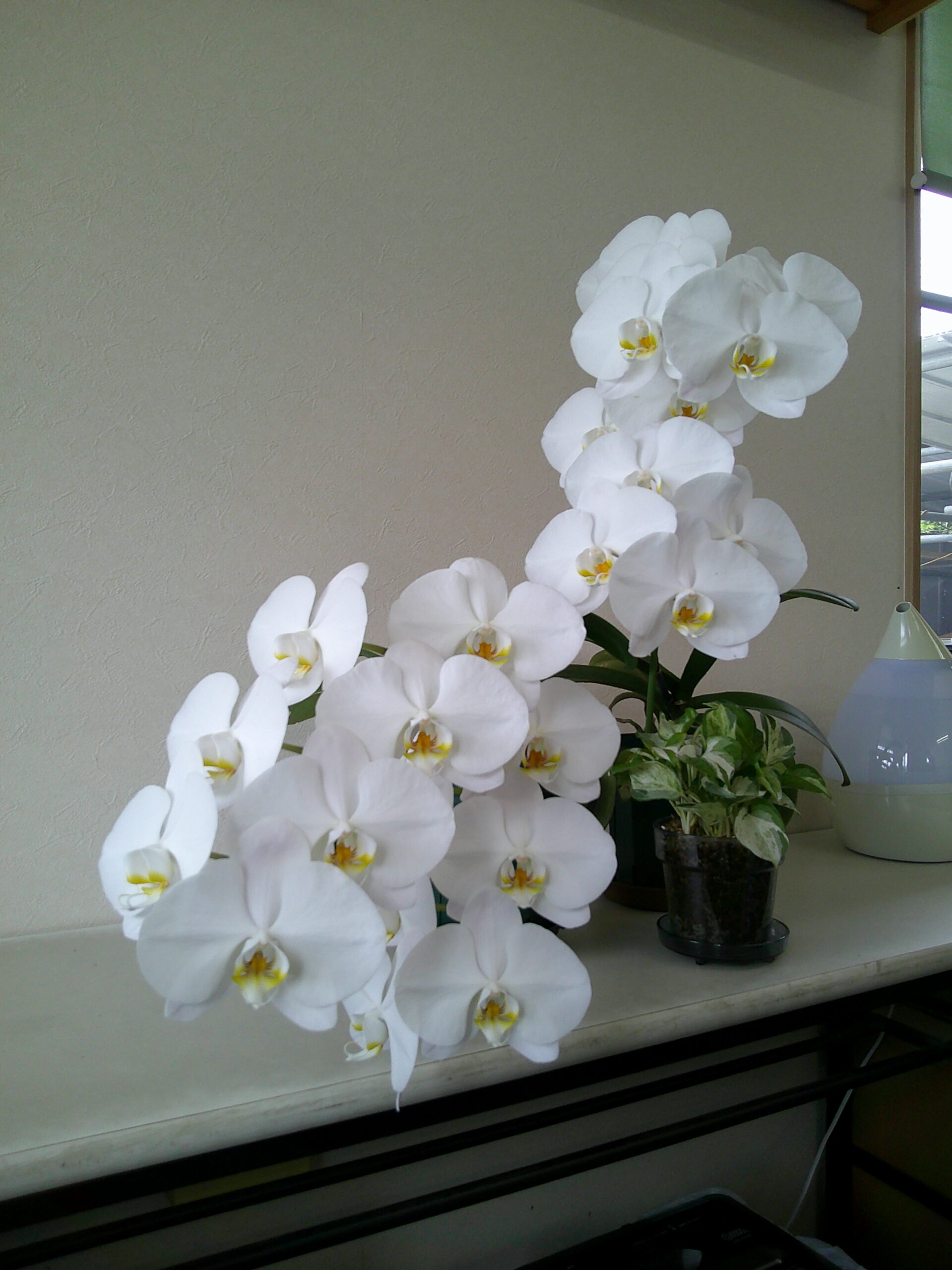 写真2