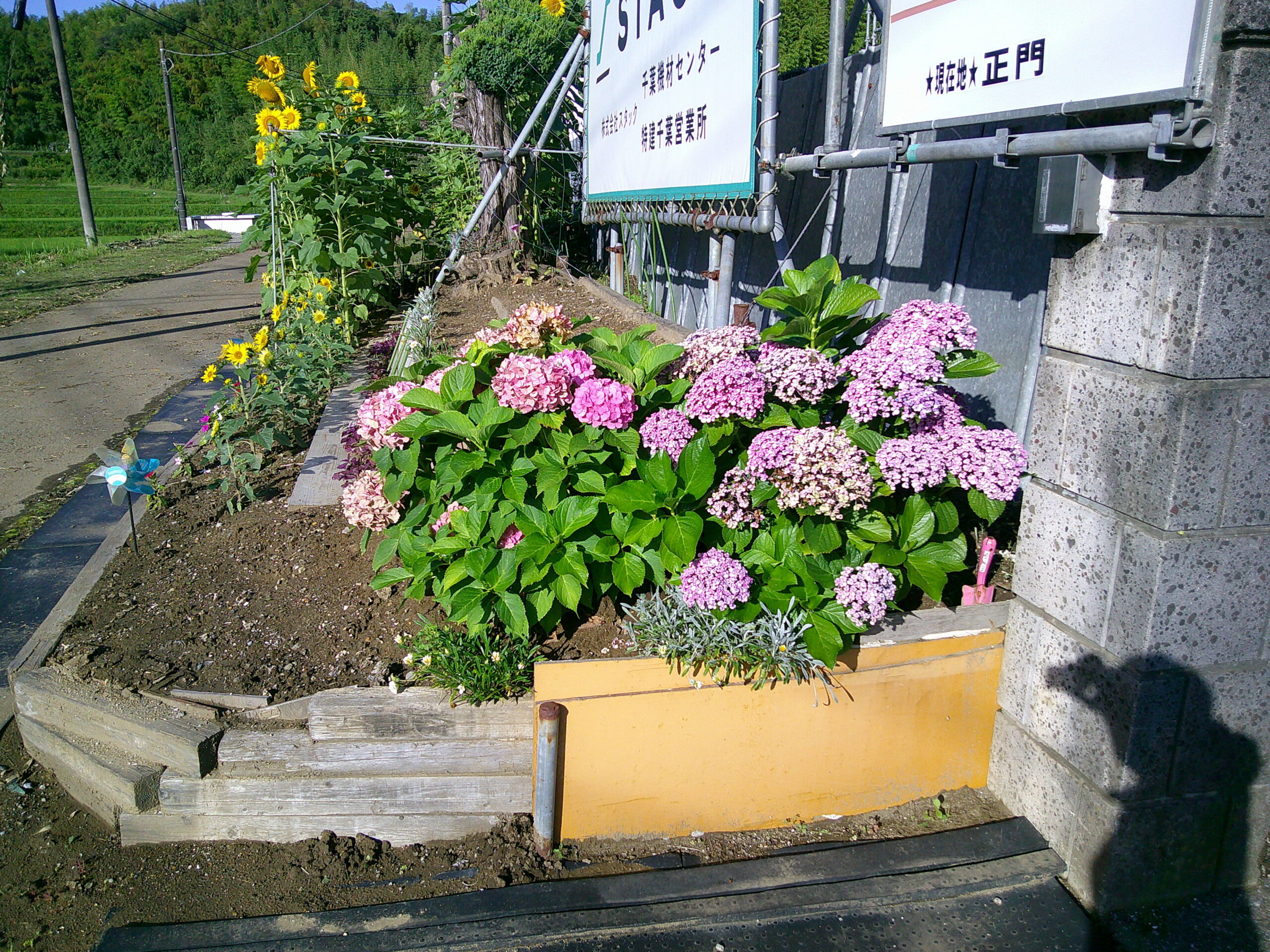 写真2